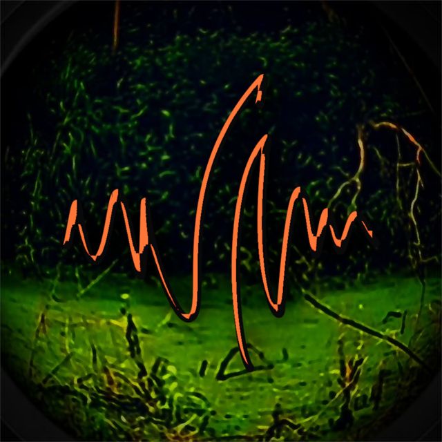 immerse cover art